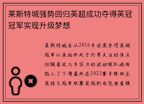 莱斯特城强势回归英超成功夺得英冠冠军实现升级梦想